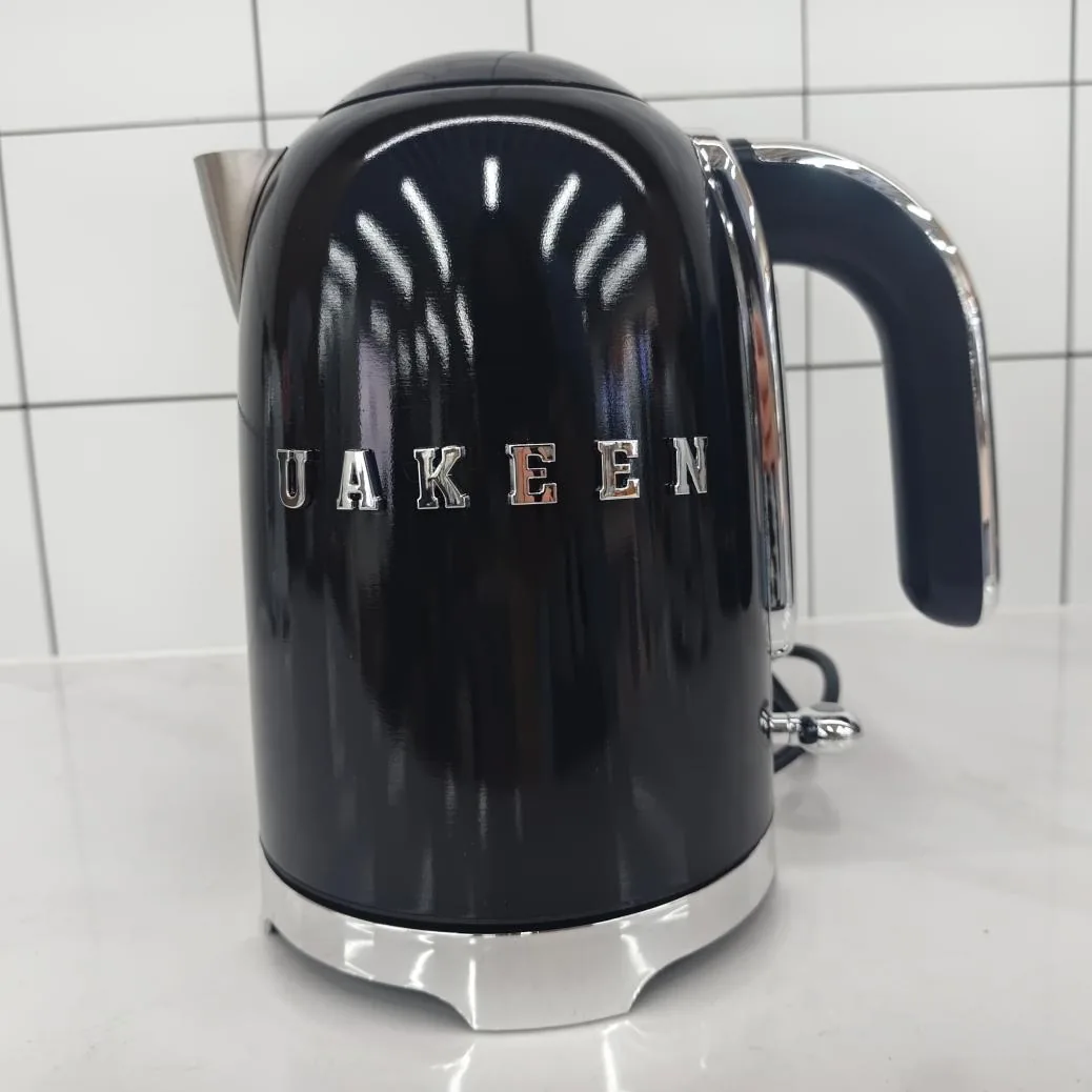 ZL-029 electric kettle