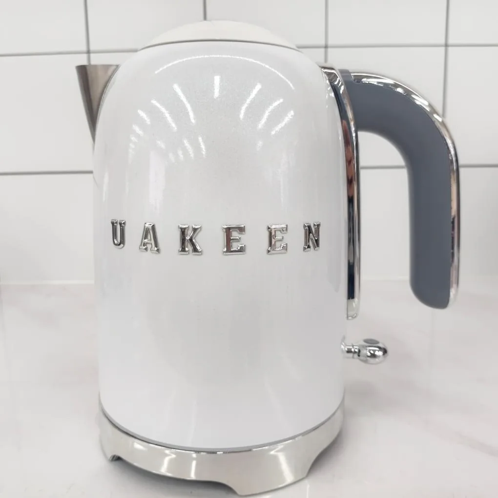 ZL-031 electric kettle