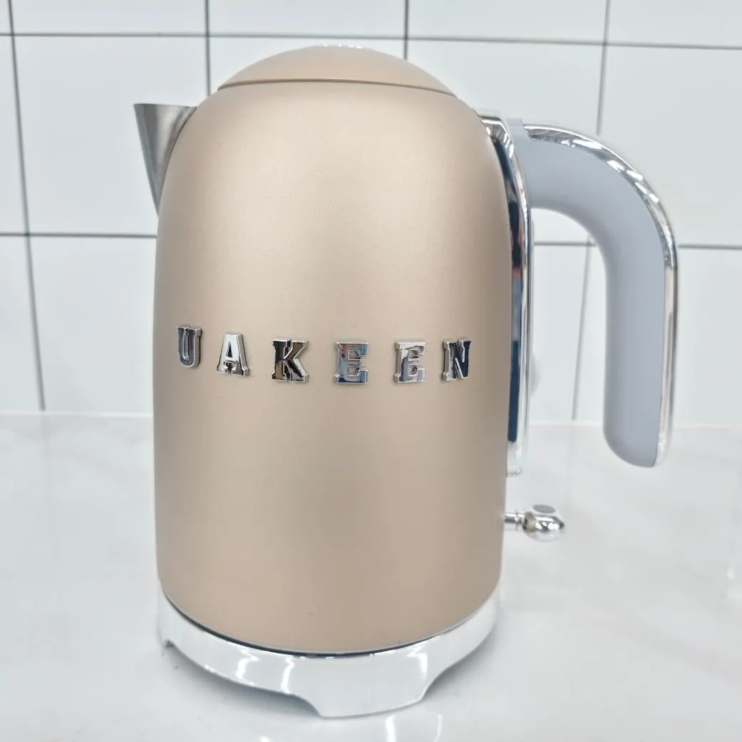 ZL-033 electric kettle