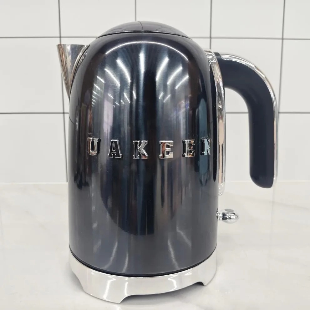 ZL-035 electric kettle