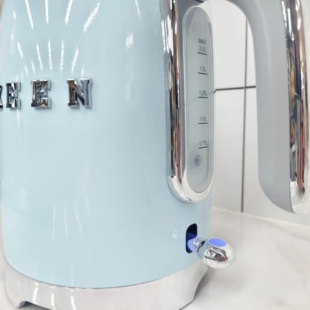 ZL-037 electric kettle