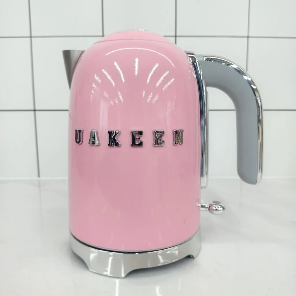 ZL-038 electric kettle